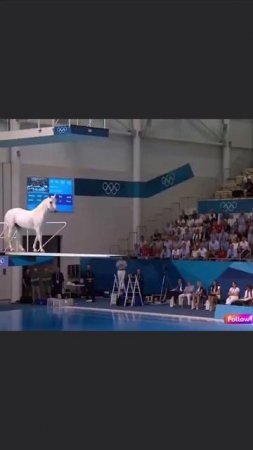 Люблю наблюдать спортивные состязания