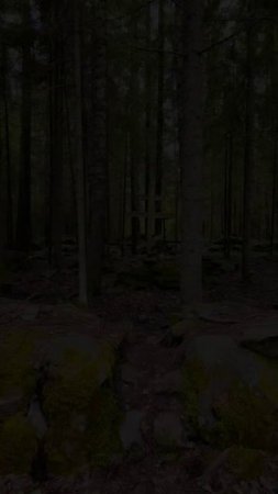 Карелия. Pitkyaranta. Karelia. Pitkyaranta
