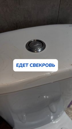 Свекровь