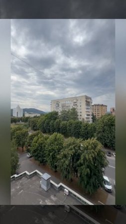 Кулиева F 98084515