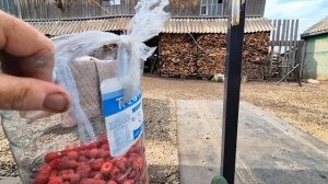 Как принимаем заявки на МЕД/Сидим с Олегом и рассуждаем про комментарии/ дела домашние/