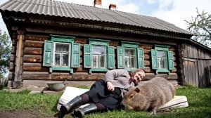 ИИ бабуля снимает с крыши капибару