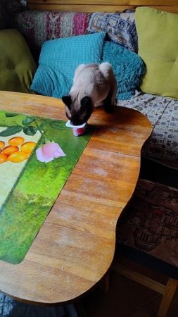 Сипмская уошка
