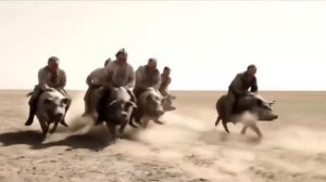 Контрнахрюк 2023
