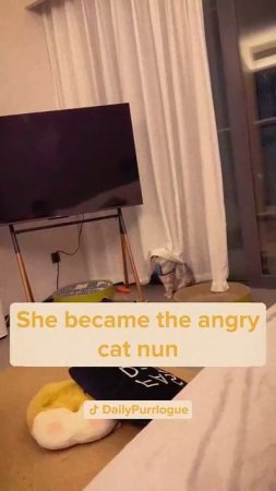 1000055350.mp4
