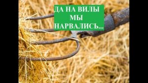 В сене с милым кувыркались...