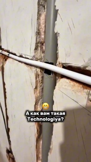scene_output.mp4