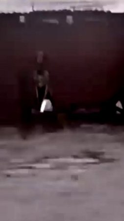 Спасение тонущей собаки во время наводнения