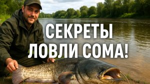 Секреты ловли сома об этом молчат бывалые рыбаки