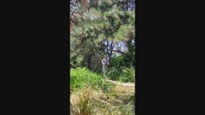 самокат вертикальный