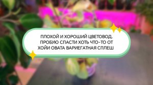 Плохой и хороший цветовод