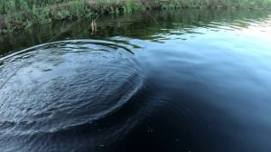 Отрывок из нового проекта.