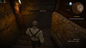 The Witcher 3 Wild Hunt Начало