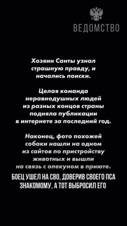 История Амура и Санты. Как пес и хозяин нашли друг друга после долгой разлуки.