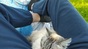 уДачная любовь