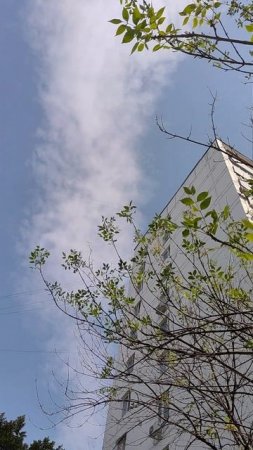 У боли есть свои цвета