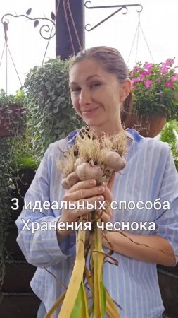 🧄 3 способа хранения чеснока 

#чеснок #хранениечеснока