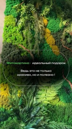Фитокартина – идеальный подарок