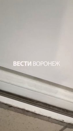 Так выглядит отделение гинекологии в «Электронике»: паутина, грязное бельё.