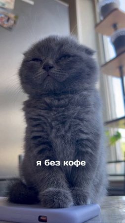 Вы знаете кому отправить😀🖤☕️
Лаборатория кофе