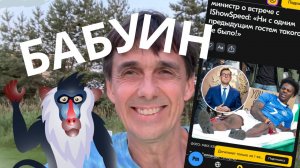 Стих 274. Бабуин