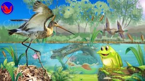 Всяк кулик (Всяк кулик свое болото хвалит. В.И.Даль Свое - чужое)