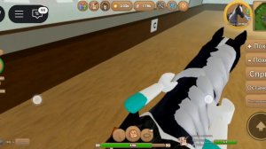 тренировка