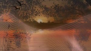 Плакала рябина.