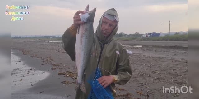 Япономорка. Ловим на сеть с берега Сахалин - залив Анива. смотреть онлайн