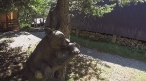 Мави Групп поездка в Архыз