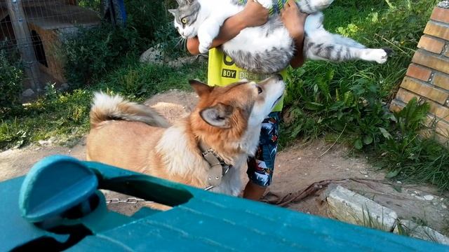 Новый оператор Савелий.Оцените!?