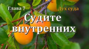 7_Судите внутренних_ Вочман Ни