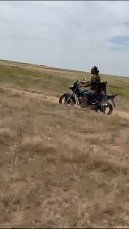 катаю свою собаку