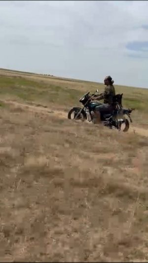 катаю свою собаку