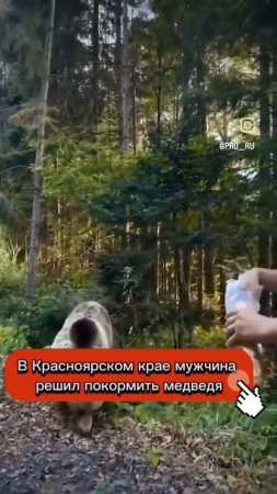 🔰Когда пересмотрел все серии мультика "Маша и Медведь" )))😂🧸😜
