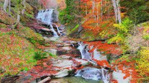 #Коран#АтТовба#СамыеКрасивыеМеста#Relaxation##Islam#Quran#AtTaubah#Minshawiy #4кВидео#16часть#