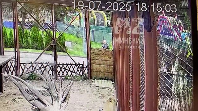 Снова инцидент. Полиция. Разборки 19.07.2025_