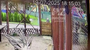 Снова инцидент. Полиция. Разборки 19.07.2025_