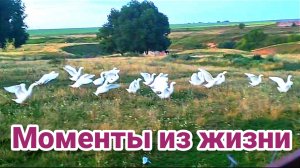 Забавные моменты из жизни