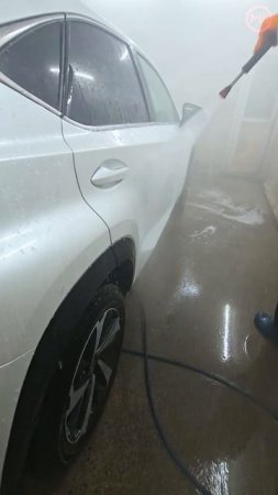 Мойка М3 Бухарестская. Химчистка кузова