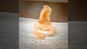 Прикольно да?