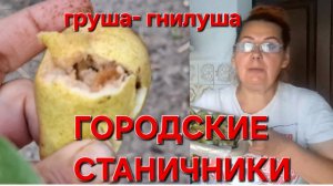 627 Городские Станичники. Всё нормально. Проверили.Груши - гнилуши.