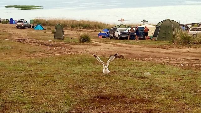 Поездка на Байкал(Куркутский залив)