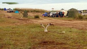 Поездка на Байкал(Куркутский залив)