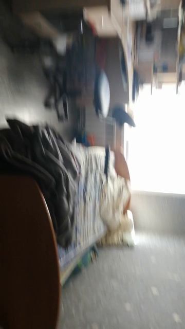 Арсений влог.