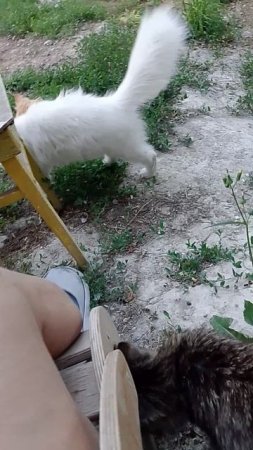 +7985 193 0027 сбер элплат