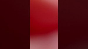 гонки за машинки