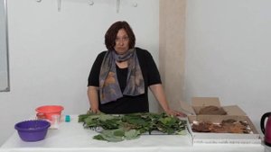 Ронина  Какие листья использовать для экокрашения