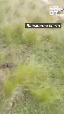 В Карачаево-Черкессии молния убила пастуха,его коня,собаку и всё его стадо.
