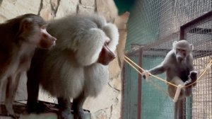 У Люси свои ночные развлечения, пока у Лиды с Елисеем любовь! Метод привлечь внимание работает!